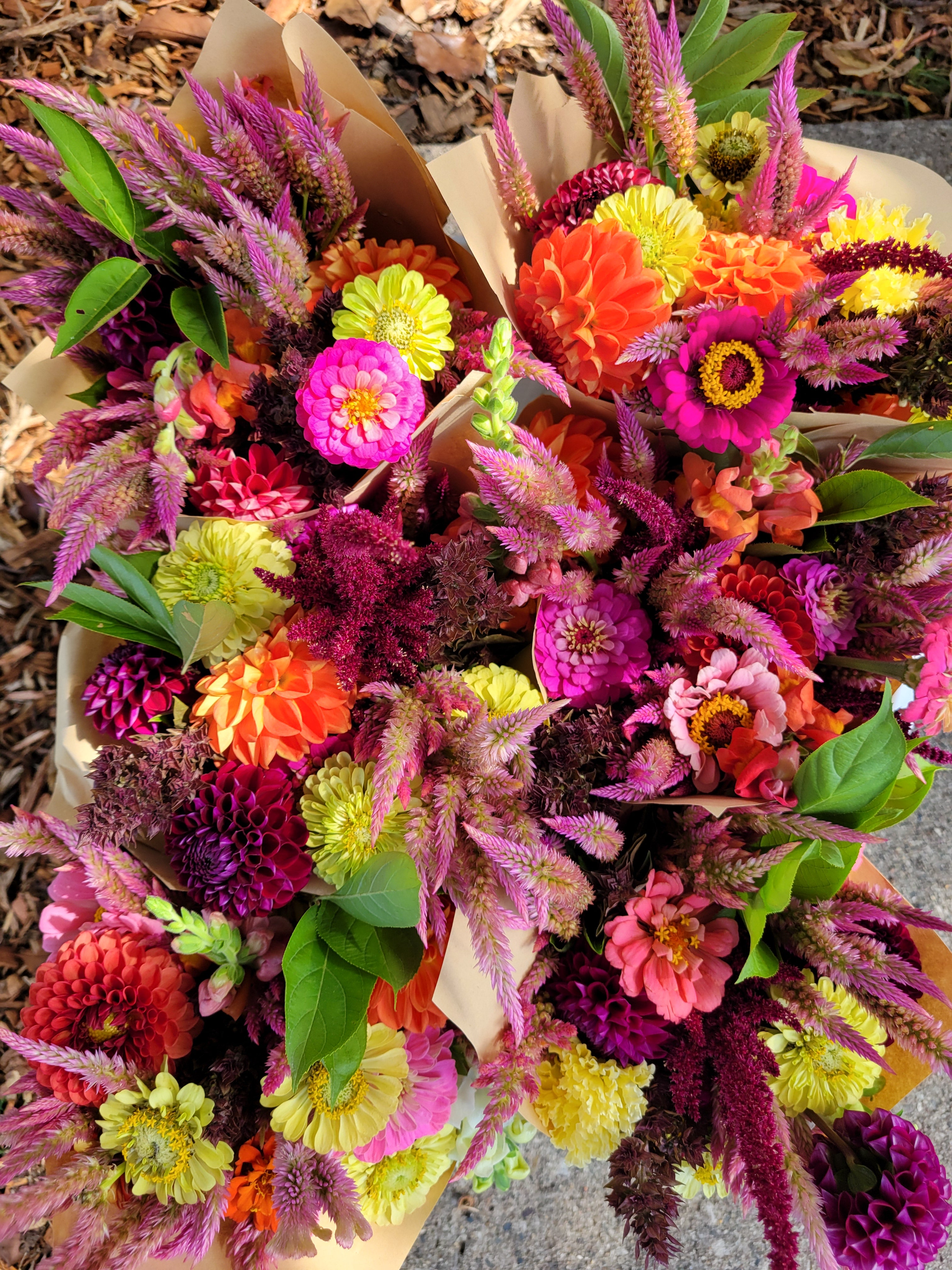 Bouquet Subscription -Pick Up Option